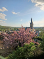 Eglise Saint Martin de Chevreuse (78)