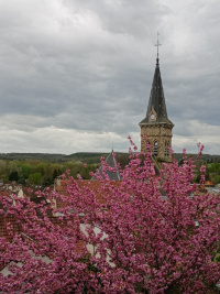 Eglise Saint Martin de Chevreuse (78)