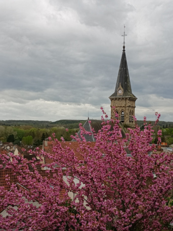 Chemin de croix 2024