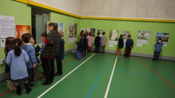 Exposition et visite guid&eacute;e avec les classes de primaire